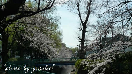 2009_03290039.JPG