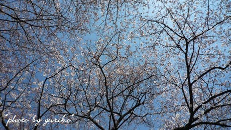 2009_04030030.jpg