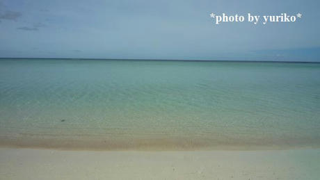 2009_0613_082351.JPG