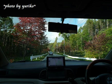 40a1de63.jpeg