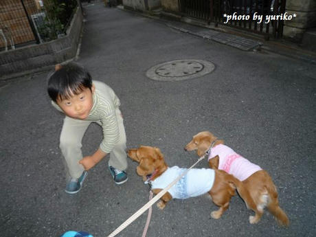 622052d9.jpeg
