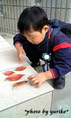 091127_1.jpg