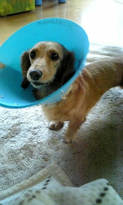 091226_1.jpg