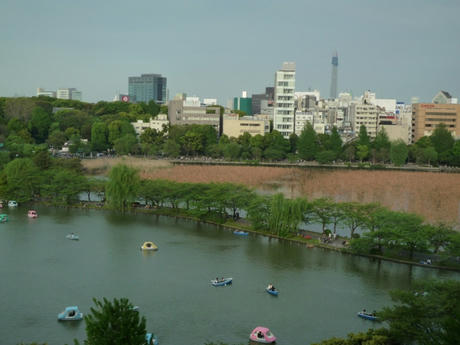 P1070158.JPG