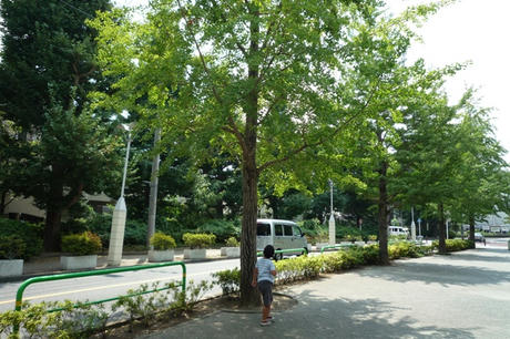 P1080682.JPG