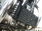 DSCN1694.jpg
