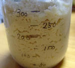 一夜あけました