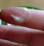 指で掬ってみた