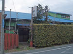 kisarazu-yanagiyu-s2.JPG