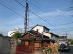 satte-sugito-602-yayoiyu2.JPG