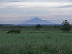 rishirifuji.JPG