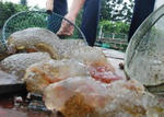 200811030240000thumb.jpg