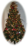 tree.jpg