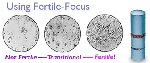 diagram1.gif