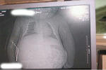 20090430baby2.jpg