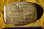 090909-code-biblical-cup_170.jpg
