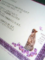 本館出来ましたよぉ