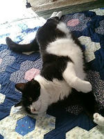 姫です(・∀・)