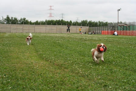 20070624-8.jpg