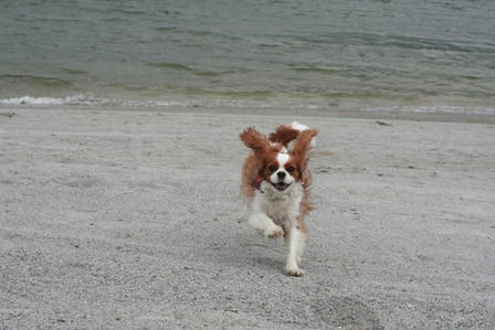 20070714-16-14.jpg