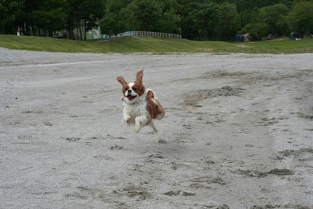 20070714-16-16.jpg