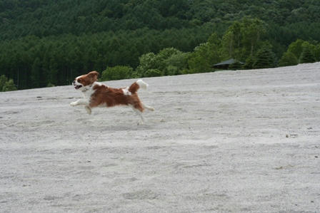 20070714-16-17.jpg