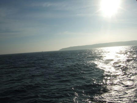 20070811-9.JPG