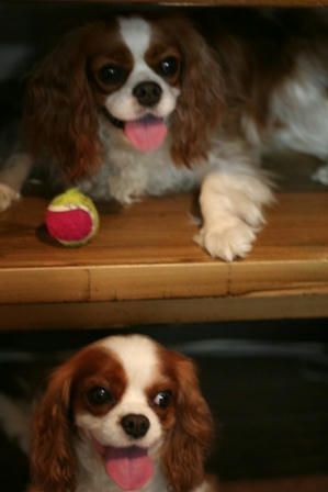 20070815-2.jpg
