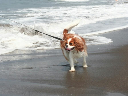 20070826-1.JPG