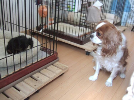 20071021-1.jpg
