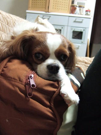20071023-2.jpg