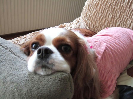 20071111-1.JPG