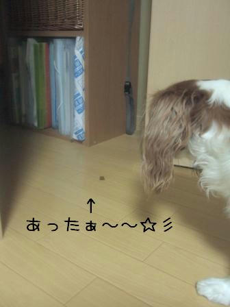 20071220-3.JPG