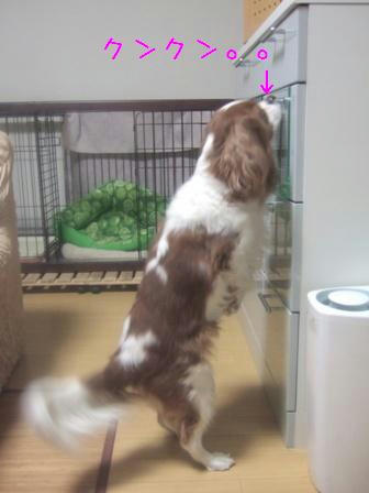 20071220-5.JPG