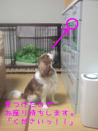 20071220-6.JPG