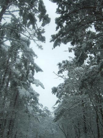 20071231-4.JPG