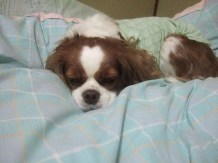 20071231-16.JPG