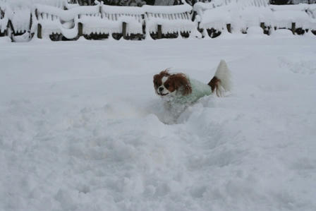 20080102-a1.jpg