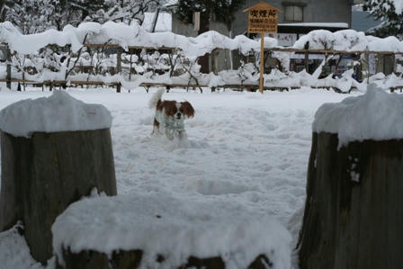 20080102-a3.jpg