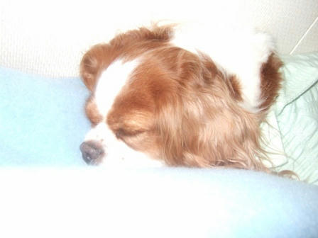20080103-6.JPG