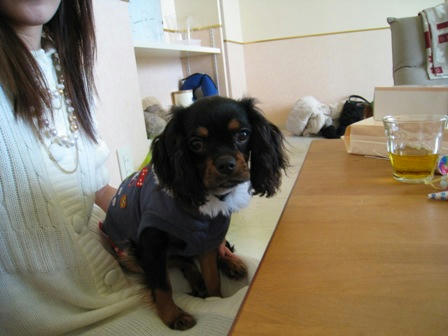 20080112moe.jpg