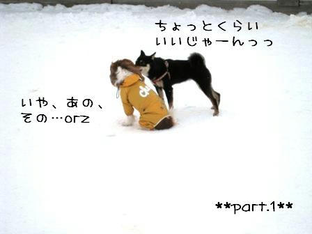 20080211-a1.JPG