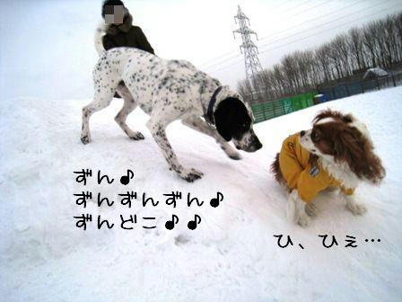 20080211-a2.JPG