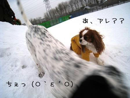 20080211-a3.JPG