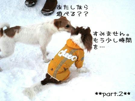 20080211-a4.JPG