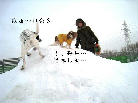 20080211-a5.JPG