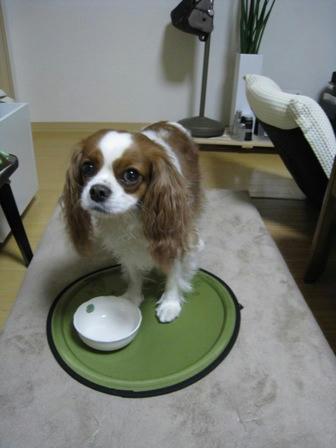20080301-1.jpg