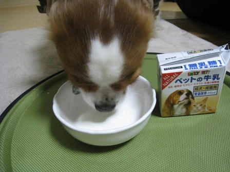 20080301-4.jpg