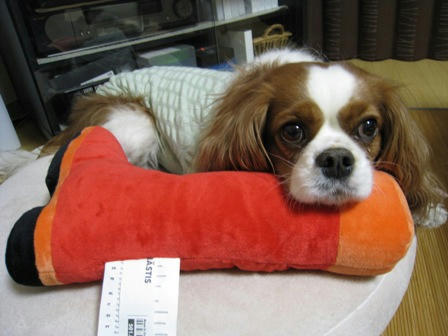 20080420-3.jpg