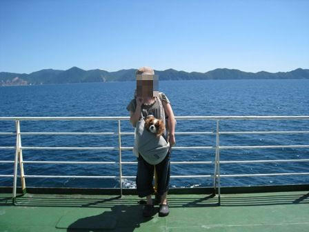 20080809-1.jpg